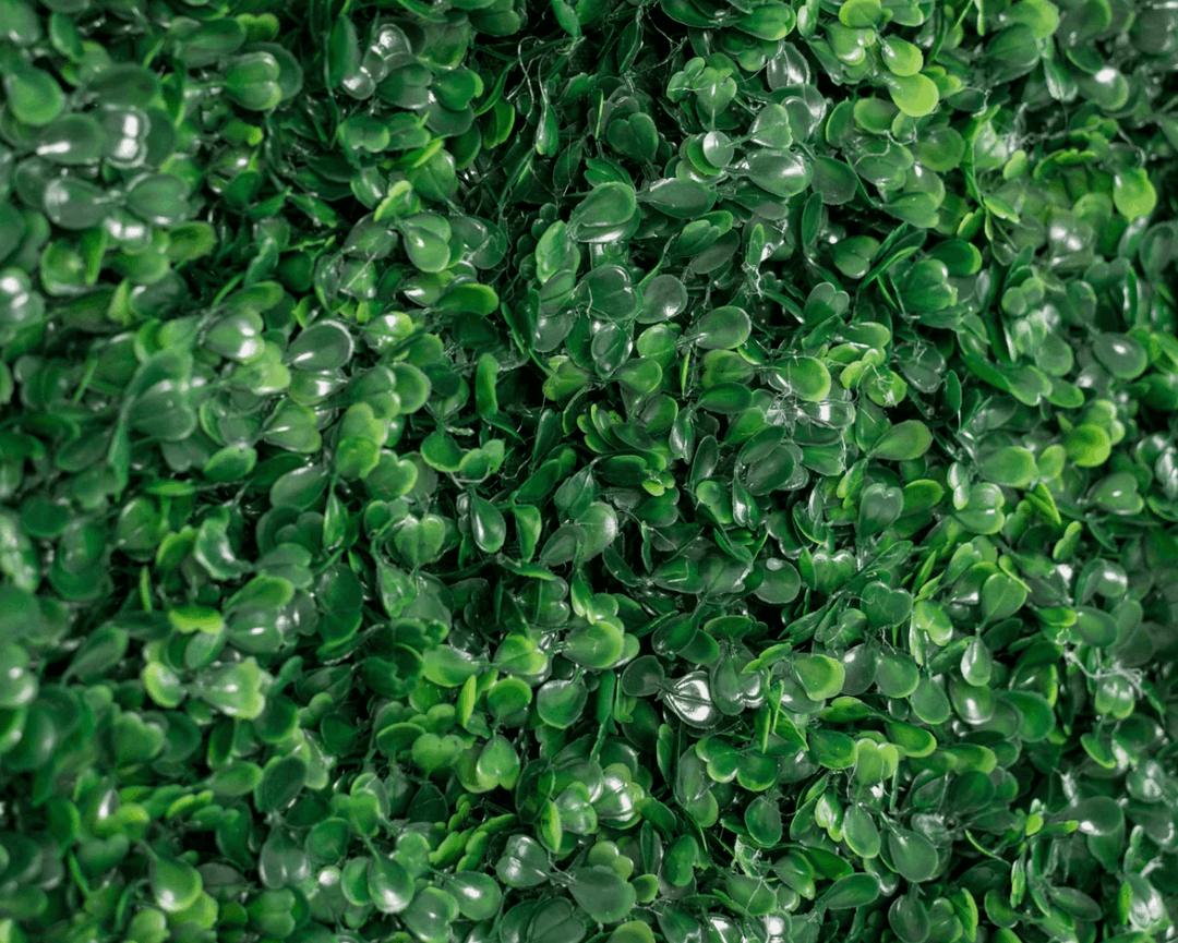 Close-up of dense artificial green boxwood for sale with small oval leaves and glossy highlights, filling the entire frame.