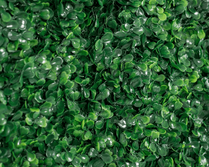 Close-up of dense artificial green boxwood for sale with small oval leaves and glossy highlights, filling the entire frame.