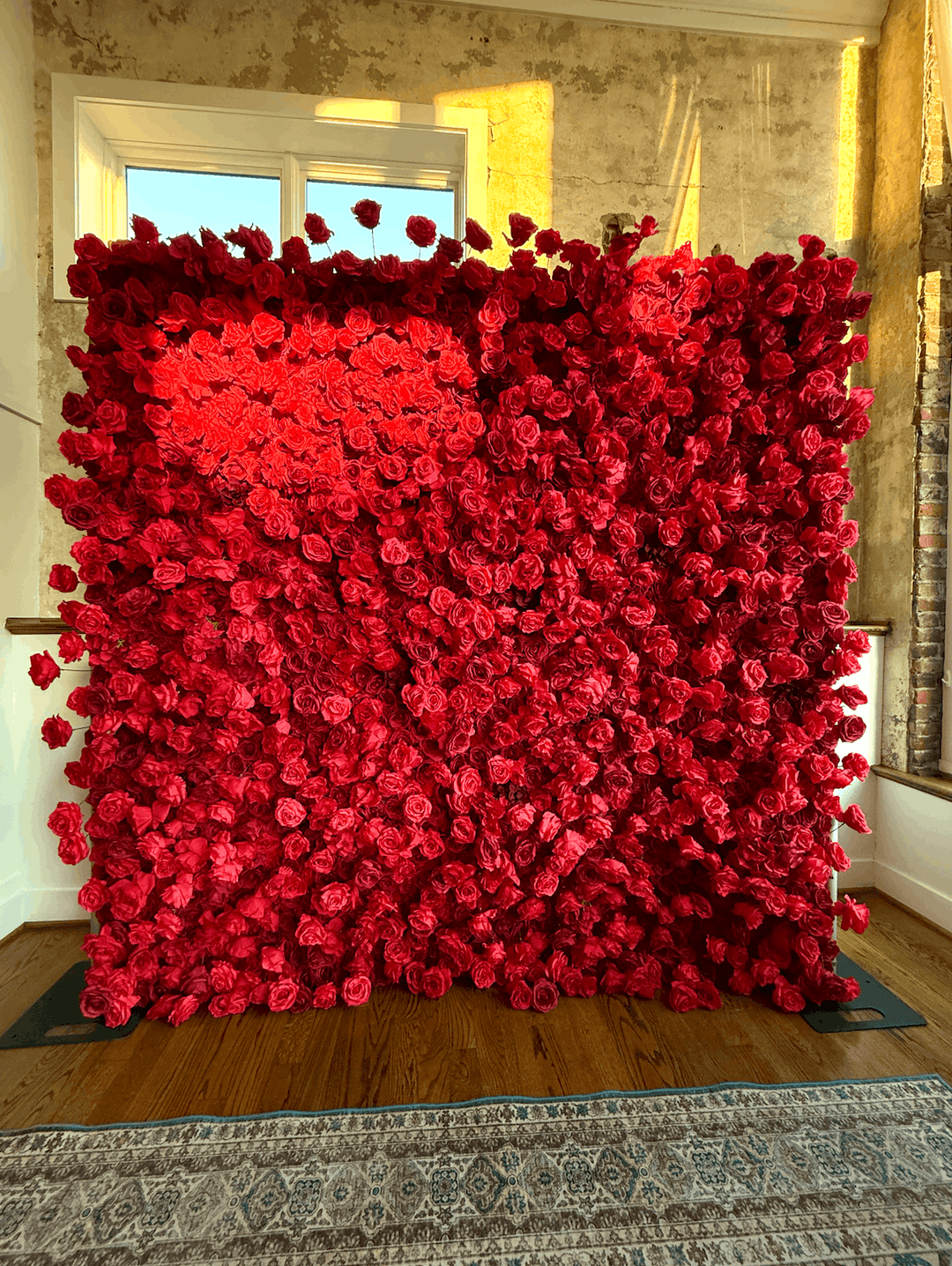 Front view of the Leigh 3D silk red rose flower wall backdrop illuminated by golden hour sunlight